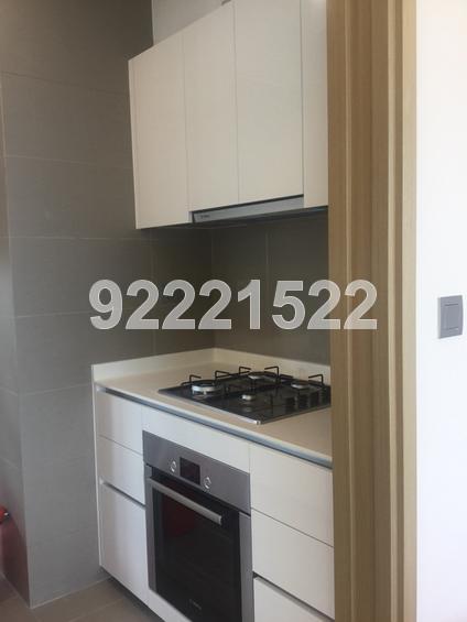 Skyline Residences (D4), Condominium #109880572